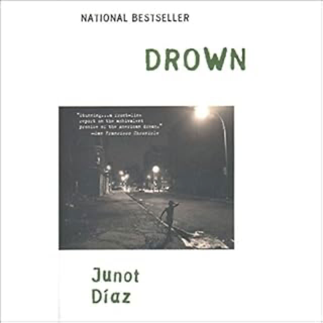 Drown cover